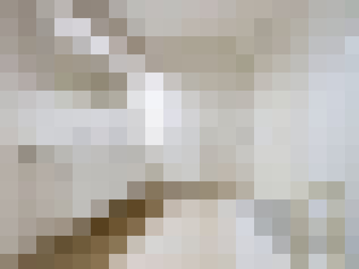  / #31
