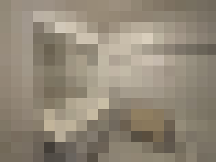  / #25