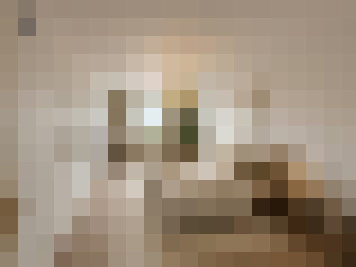  / #41