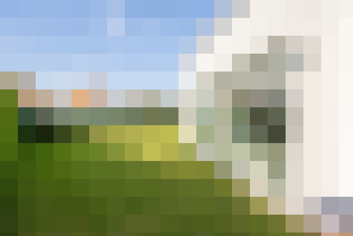  / #53