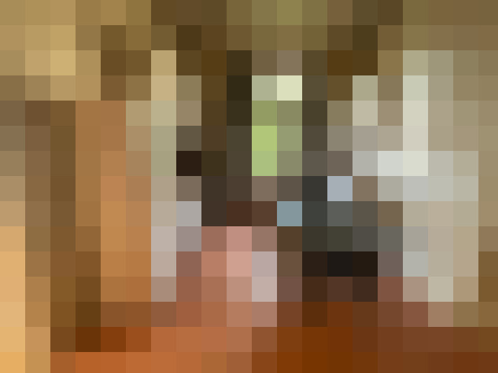 / #7