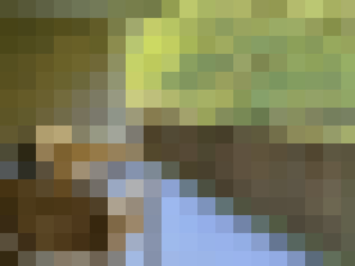  / #17
