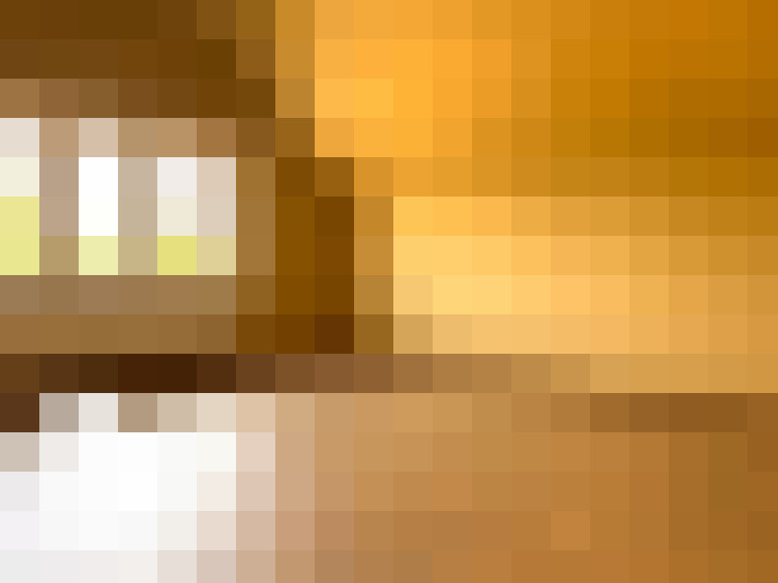  / #14