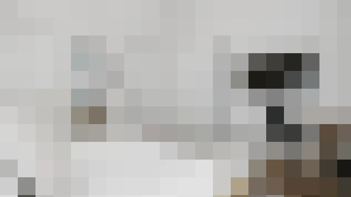  / #13