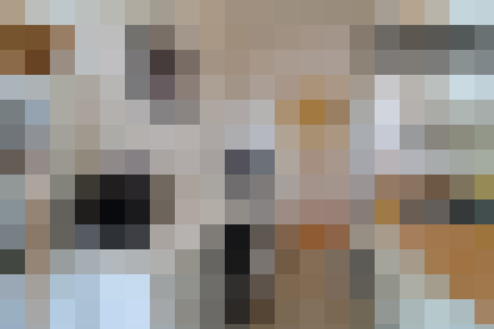 / #8