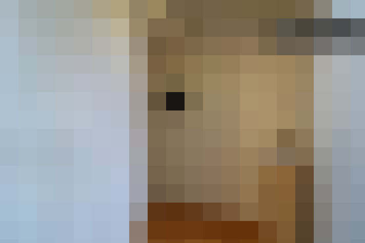  / #19