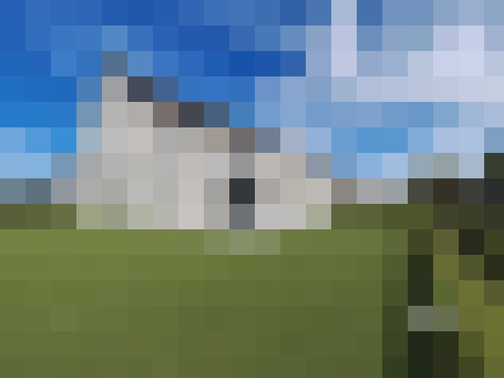  / #15