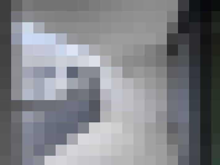  / #8