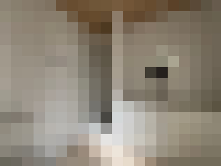  / #16
