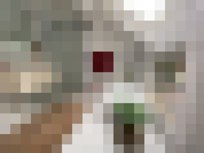  / #21