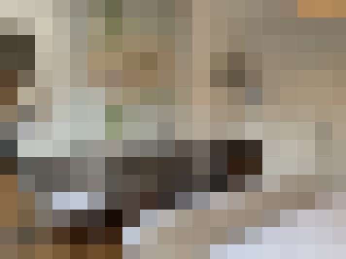  / #19
