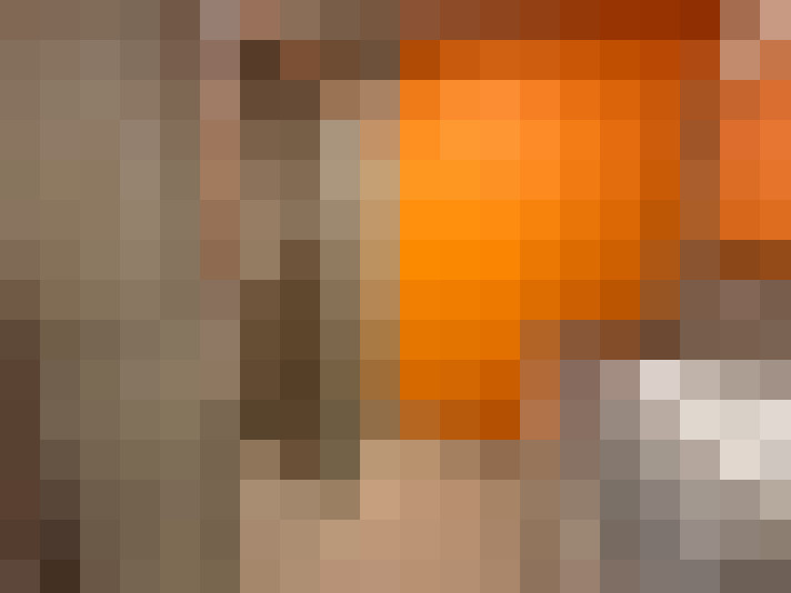 / #21