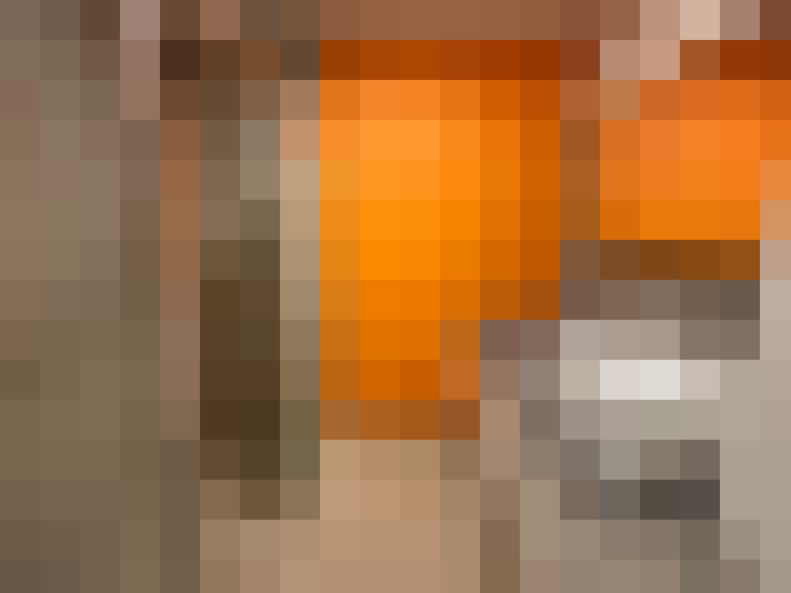  / #19