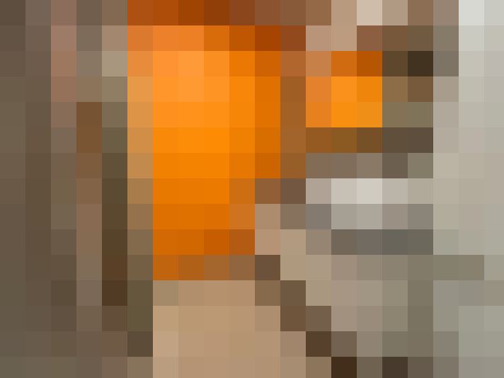  / #23