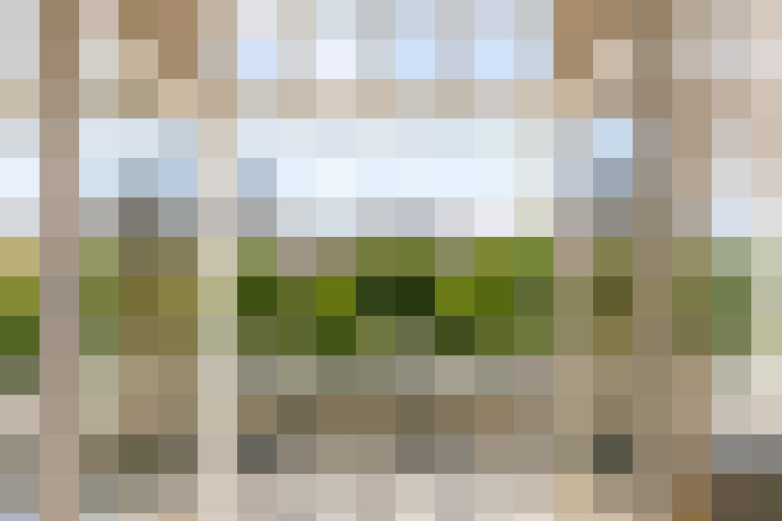  / #16