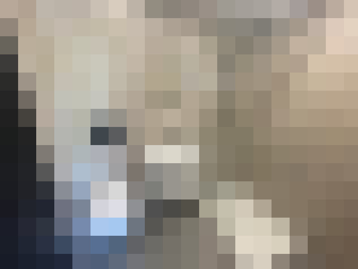 / #7