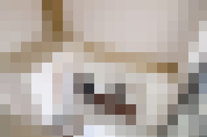  / #16