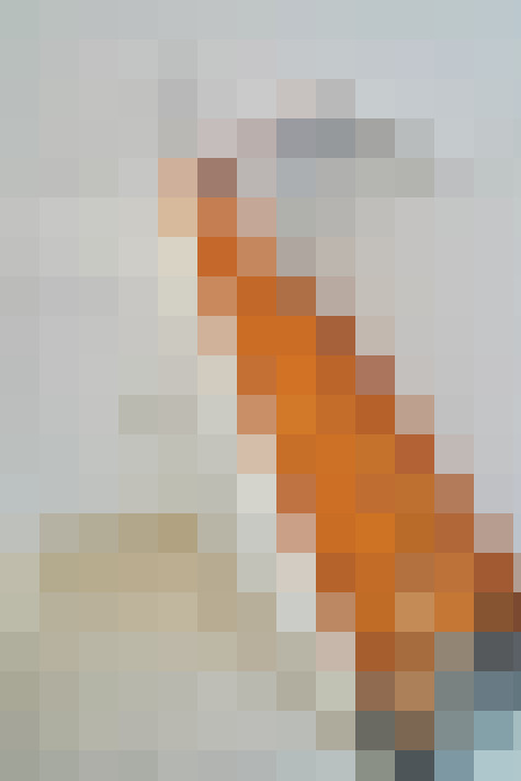  / #17