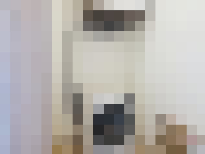  / #21