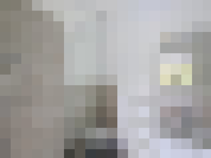  / #19