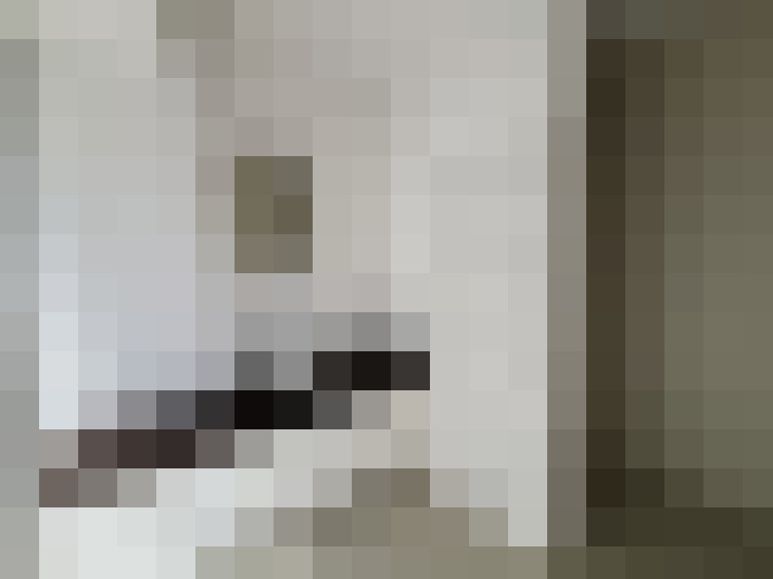  / #22