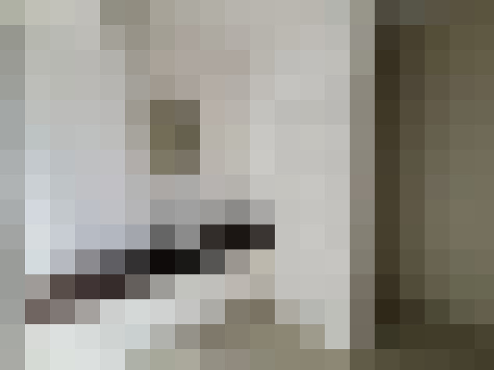  / #16