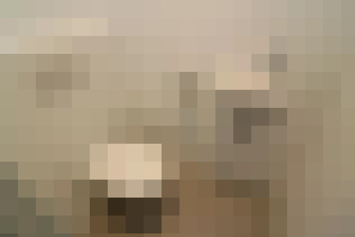  / #29