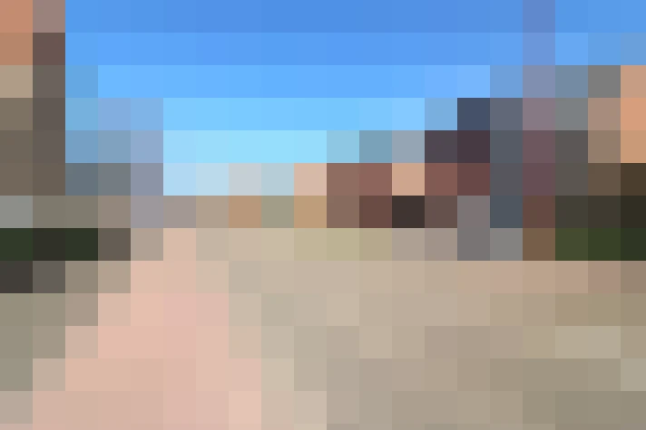  / #61